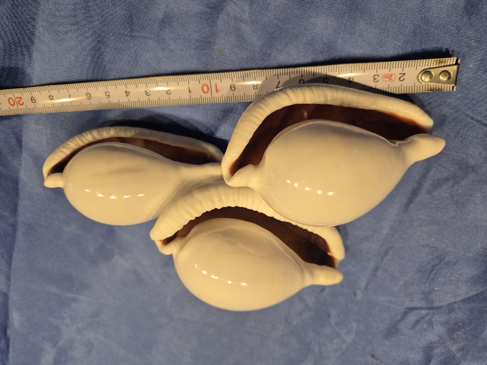 Tutte le decorazioni: Muscheln Sammlung Dekoration – Usato da Russikon venduto da dav_fqm6 1