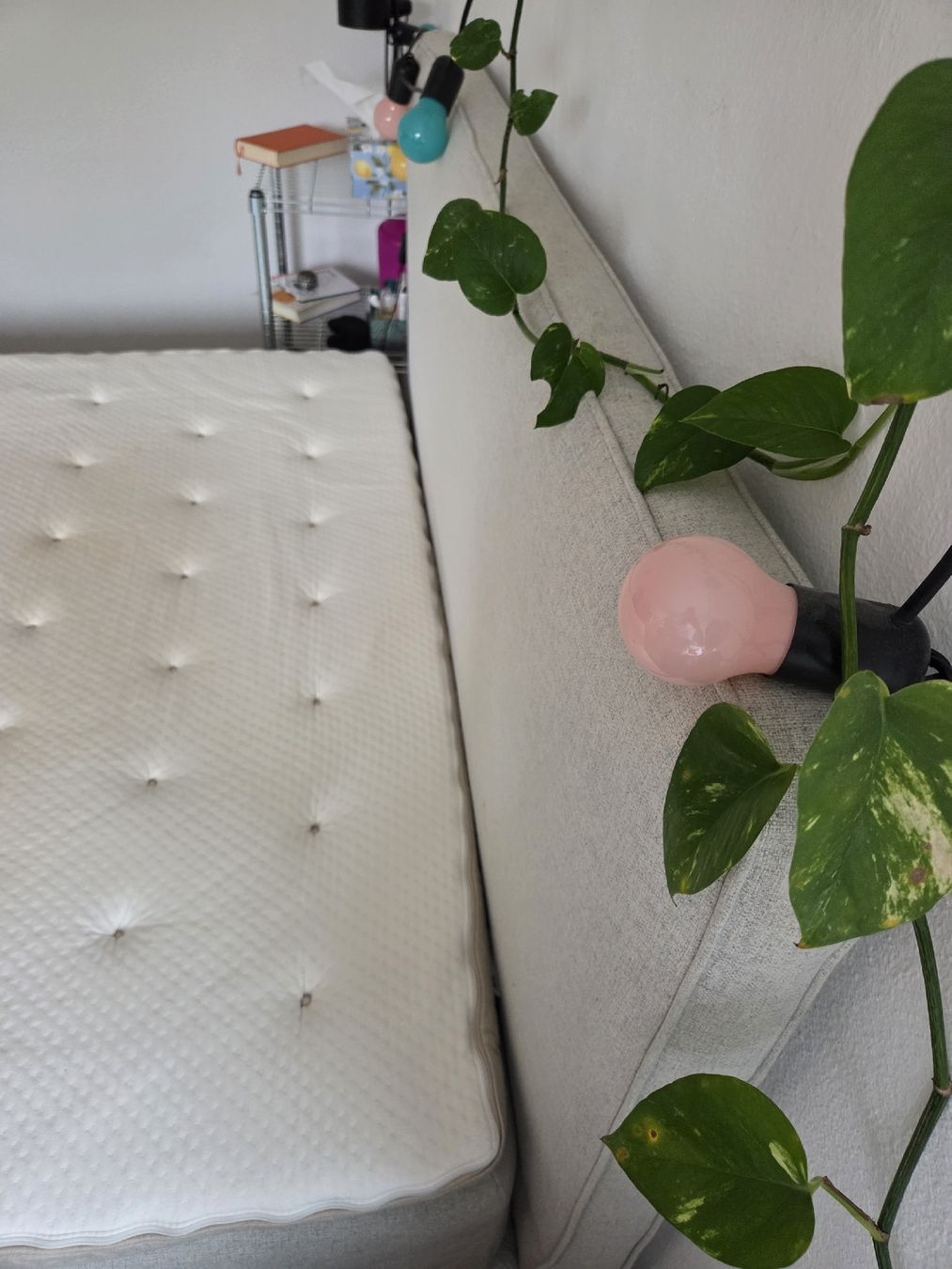 Letti: Boxspringbett 160x200cm – Usato da Bern venduto da cas_56bz 6
