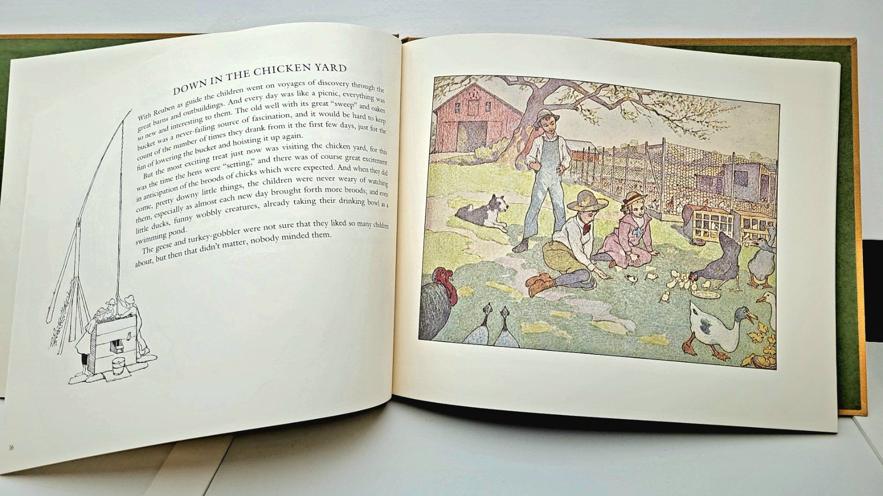 Libri: The Farm Book, 1982 – Usato da Oberuzwil venduto da rtr_wp6m 2