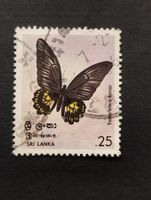 Sri Lanka - Schmetterling
