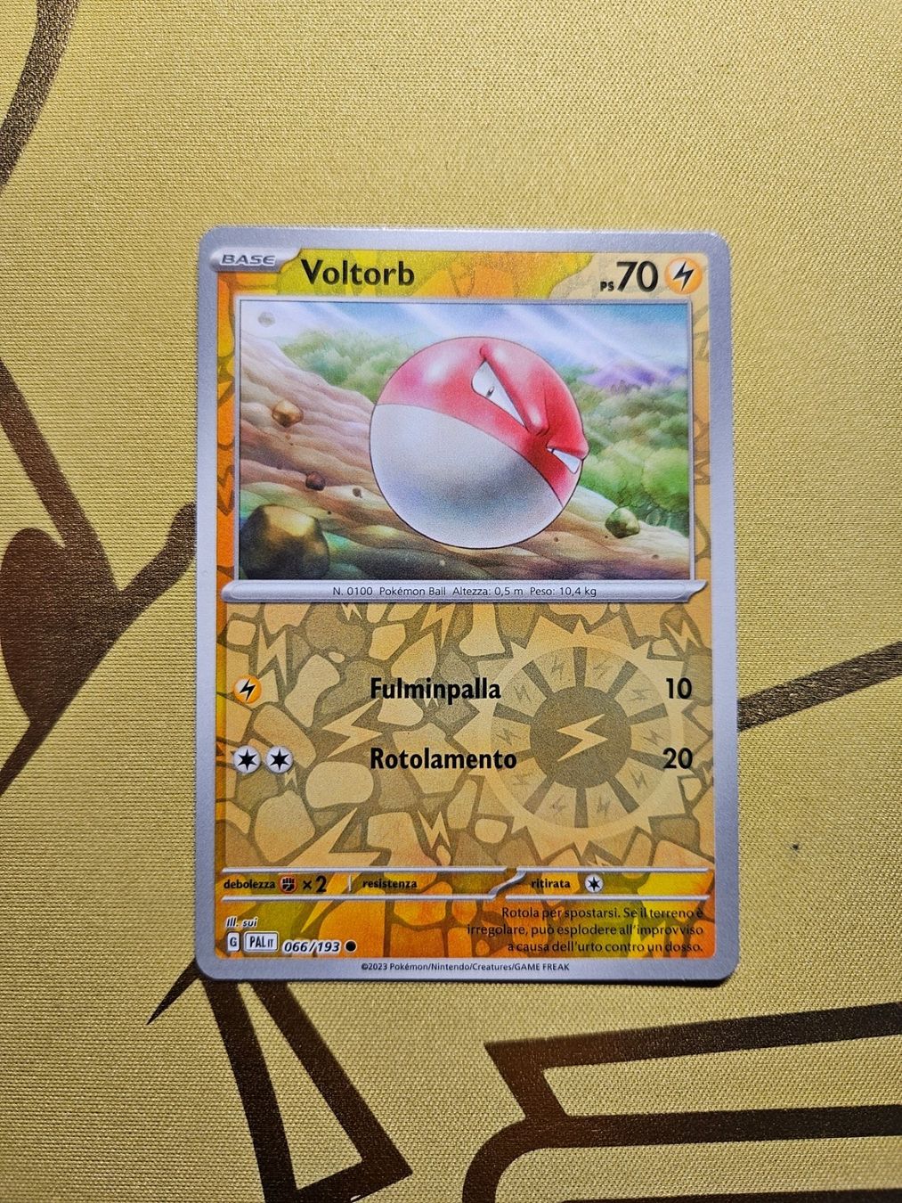 Pokémon Sammelbilder & Trading cards: Paldea Evolved - Voltorb – Gebraucht aus Bellinzona von Pokemarco