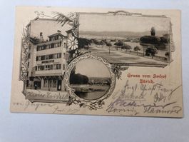 Ansichtskarte Hotel Seehof Zuerich 1906