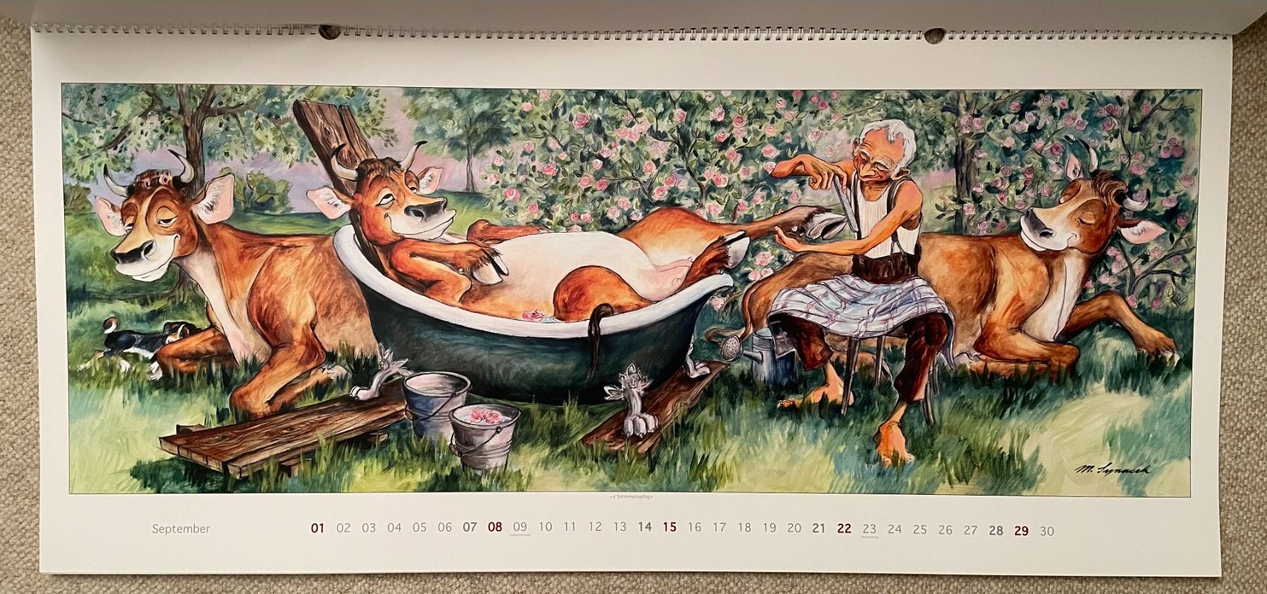 Calendari: Synacek Kalender – Usato da Rümlang venduto da Boehneli7 9