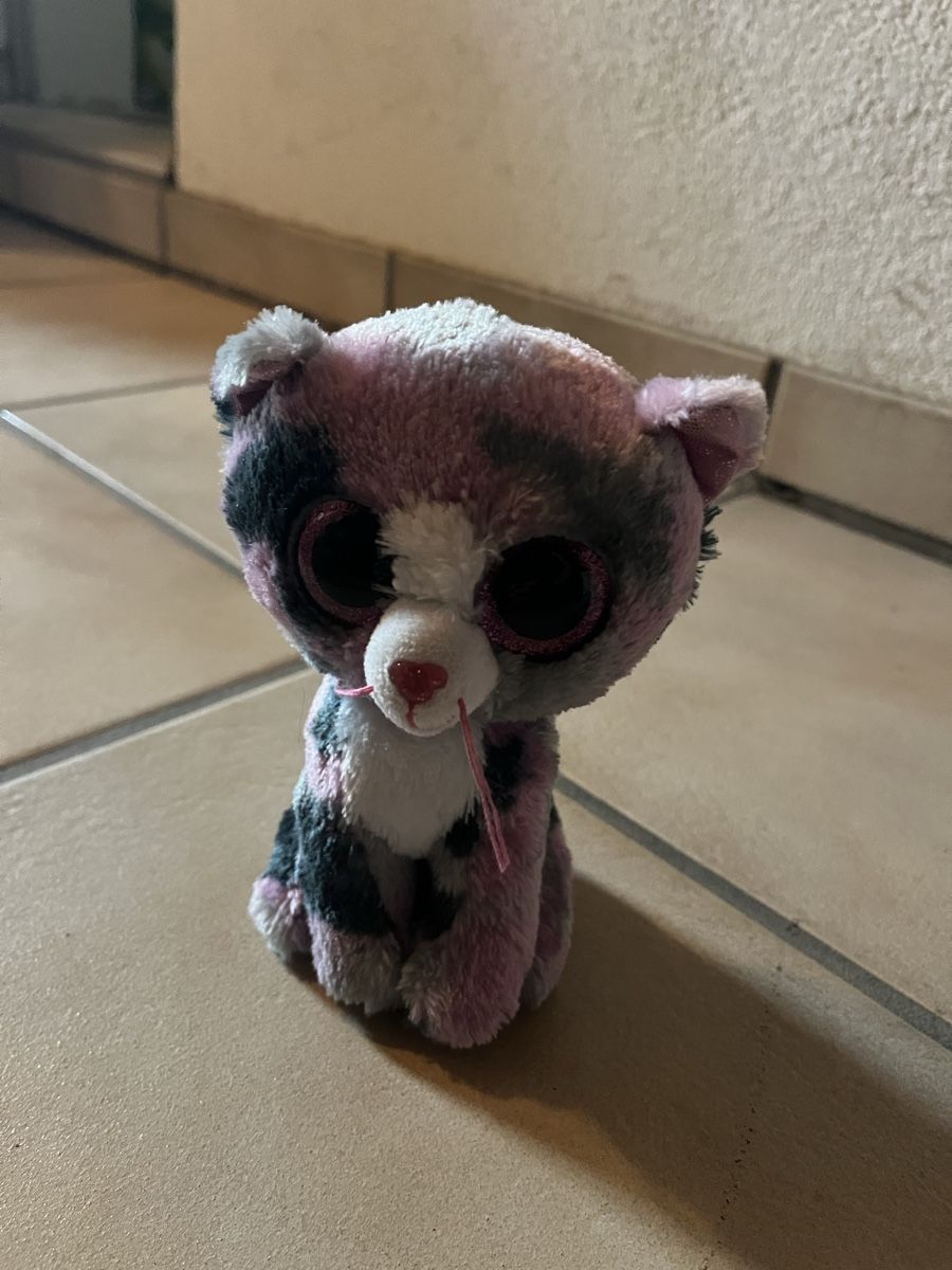 Ty Jouets: Beanie Boos Katze – D'occasion à Glarus par chr_s287 1