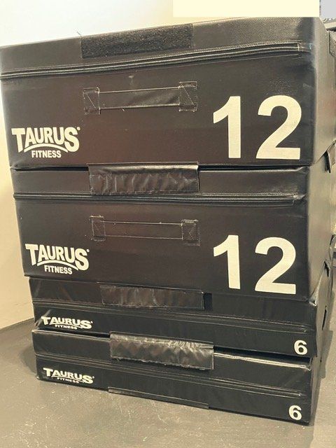 Crossfit Plyo Boxes 4-teiliges Set (Gebraucht) in Kilchberg ZH für CHF ...