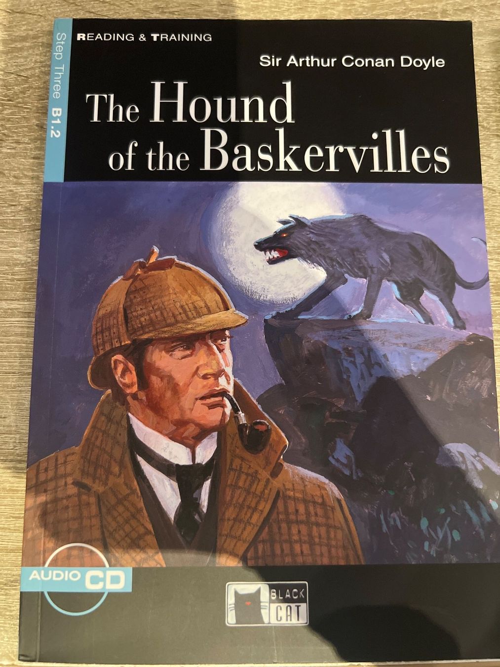 Libri: Horror-Bücher Sammlung: Horowitz, Doyle, Poe, Blake, King – Nuovo (secondo la descrizione) da Stalden VS venduto da Mister_20 1