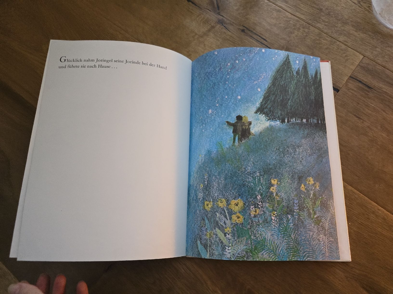 Libri: Bernadette, Jorinde und Joringel, Maerchenbuch, – Usato da Wittenbach venduto da Tigerlili 3
