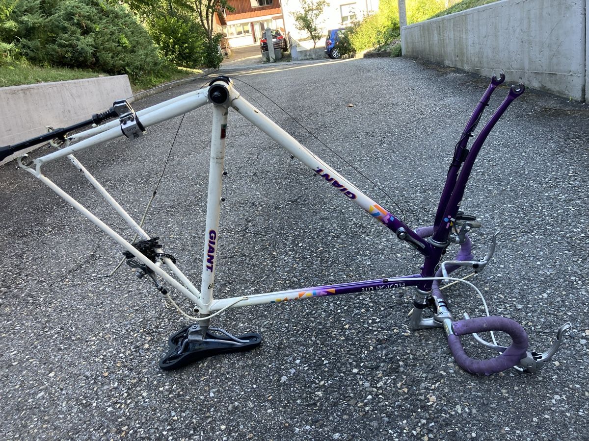 Giant Pezzi di ricambio: Rennvelo Rahmen Giant Peloton Lite – Difettoso da Reigoldswil venduto da GNVeluxboost 9