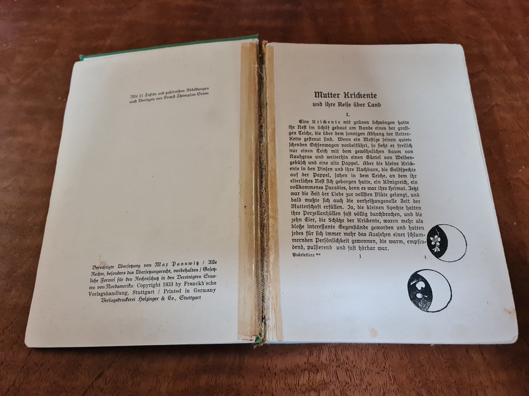 Libri: Tito die Wölfin – Usato da Erstfeld venduto da Mario_boe0 3