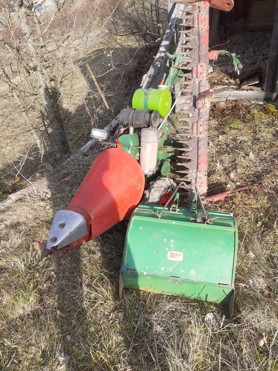 Agria Tutte le macchine: Machine pour jardin Agria – Difettoso da Sion venduto da Nelsonkatz 2