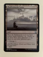 1 x Zhalfirinische Leere - Magic: The Gathering - MtG