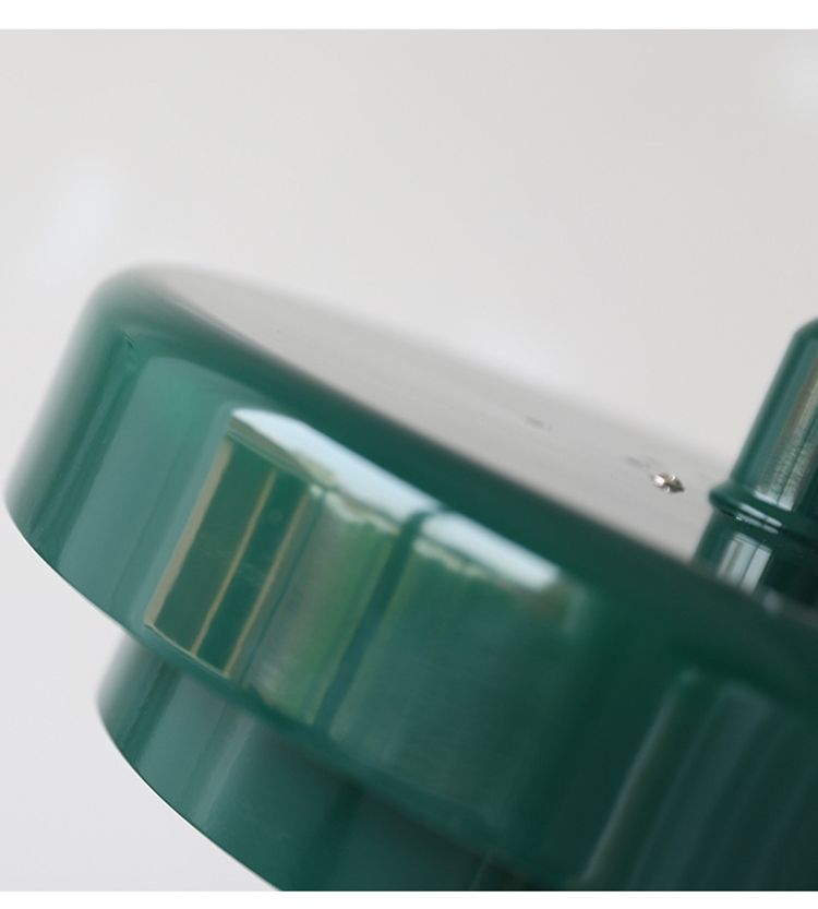Lampadari & plafoniere: Hängeleuchte grün Lampe Deckenleuchte – Usato da Brig venduto da pra_b5r9 2