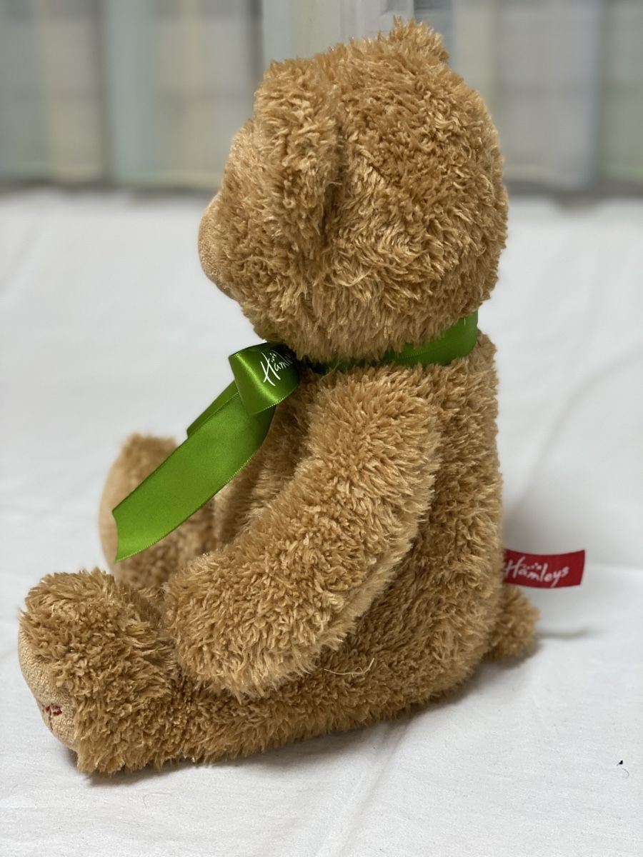 Giocattoli: Grosses Teddybär-Set, 10 Stk – Usato da Brütten venduto da Acutis2006 6