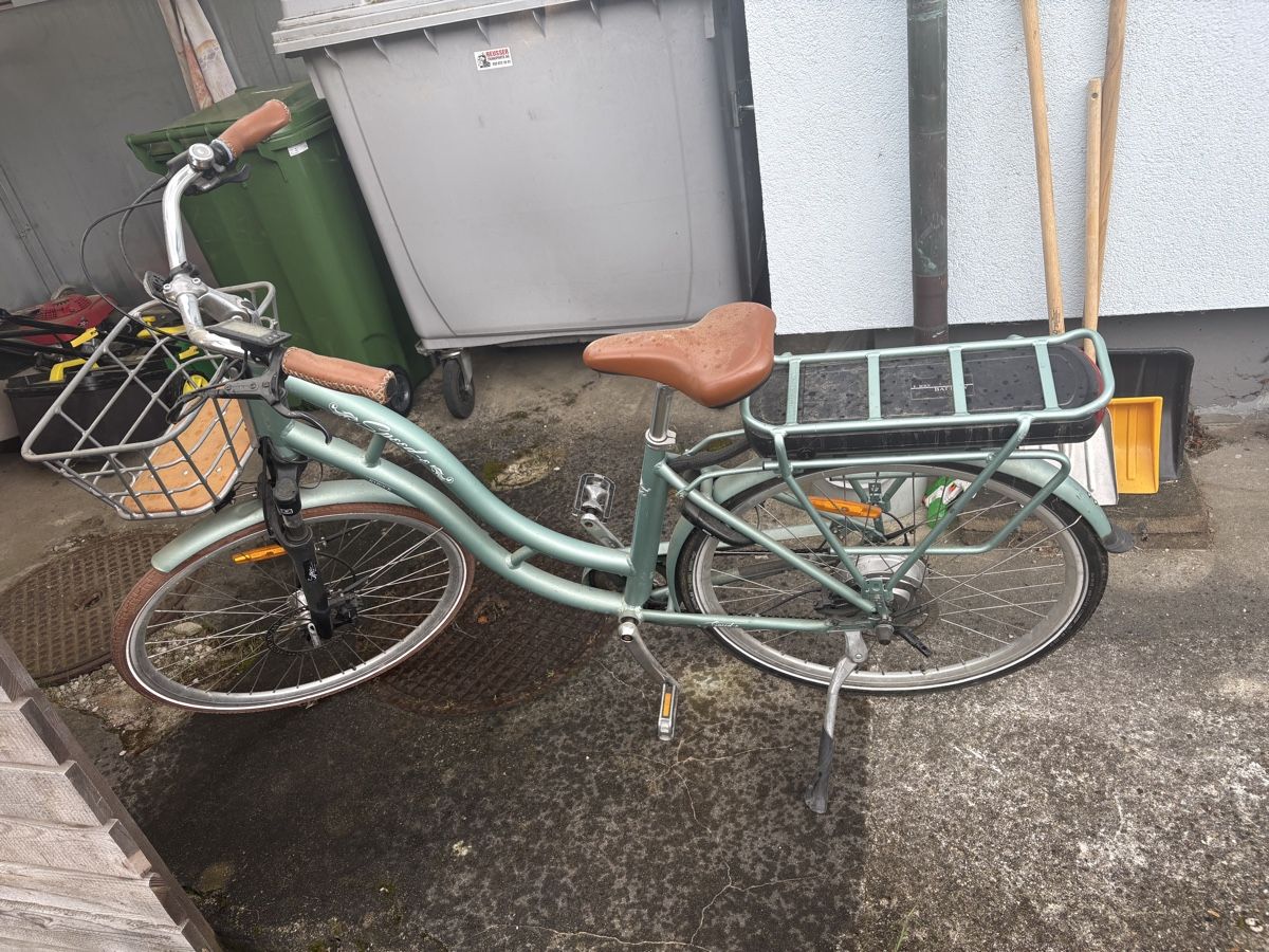 Velos: Speed E Elektrofahrrad – Gebraucht aus Kriegstetten von RonnyIngold
