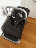 Ergobaby Evolve Bouncer Spielbogen für 3-in-1 Babywippe grau