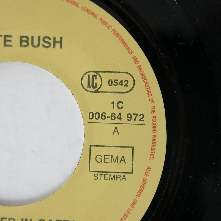 Vinyles: Kate Bush – D'occasion à Bözen par Keramik22 4