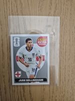 Extra Sticker, Bellingham Silver/Argent