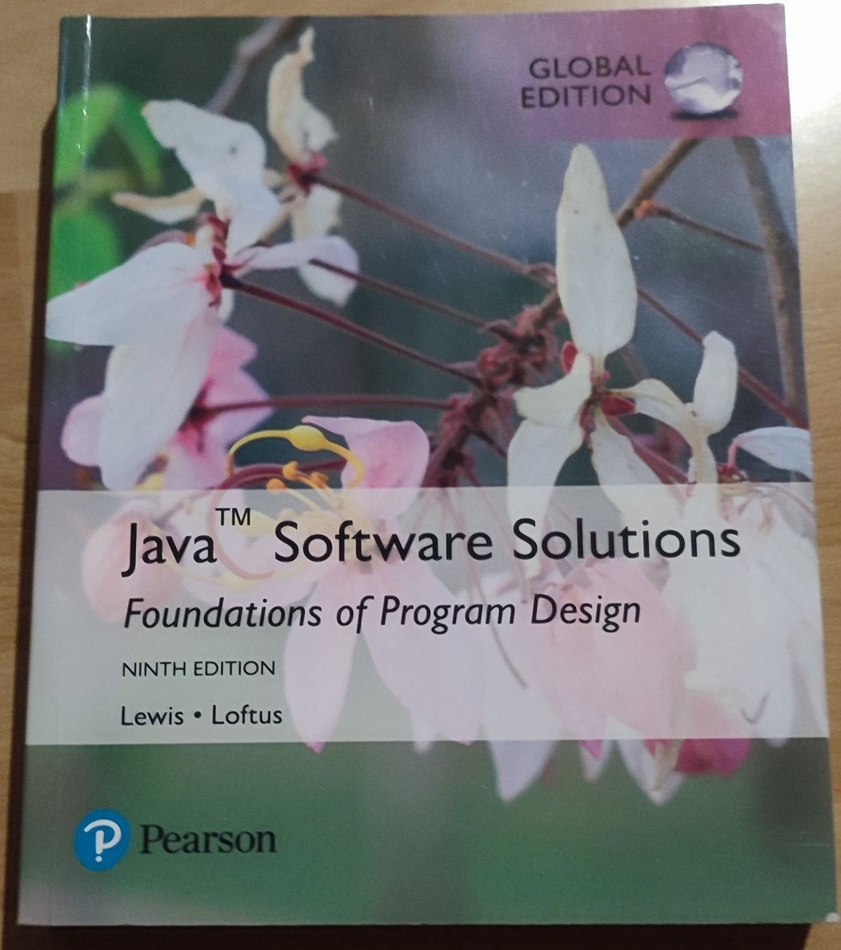 Livres: Java Software Solutions,9. Auflage – D'occasion à Eyholz par mix_cyx9