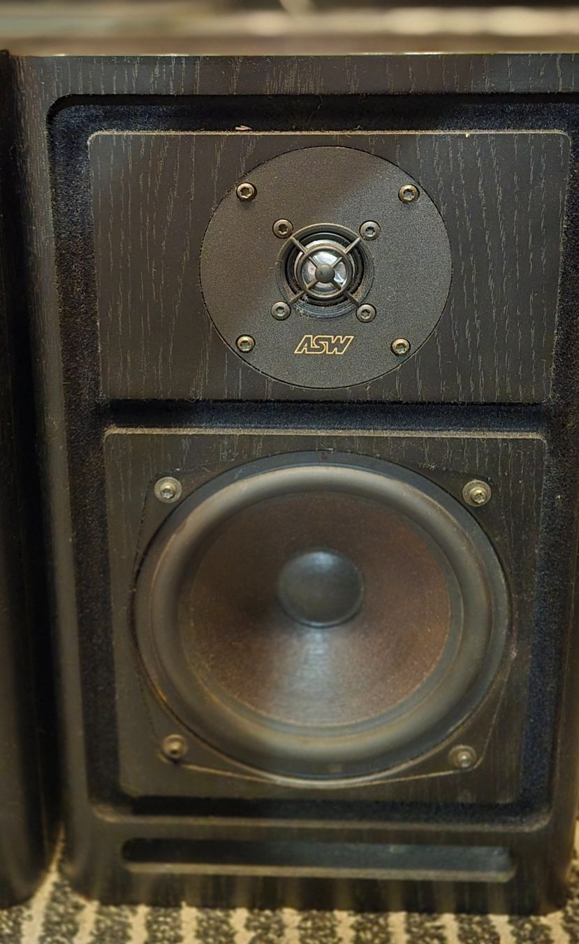 Casse acustiche: Lautsprecher ASW Cantius ML II – Usato da Herzogenbuchsee venduto da Numis25 4