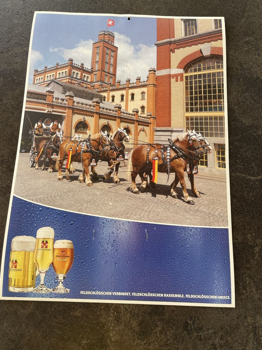 Feldschlösschen Calendari: Feldschlösschen Kalender – Usato da Eiken venduto da garanoiri 5