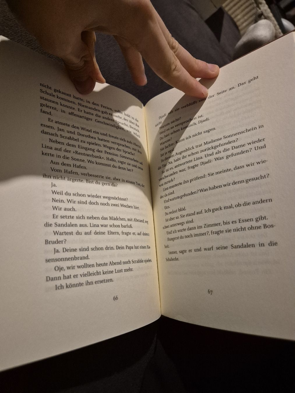 Libri: Djadi, Fluechtlingsjunge - Peter Haertling Jugendbuch – Usato da Nürensdorf venduto da luc_9ksf 3
