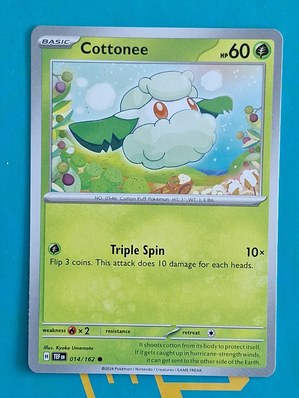 Pokémon Carte collezionabili: Cottonee - Temporal Forces Pokemon - #7.1 – Usato da Altstätten SG venduto da GGsGameshop