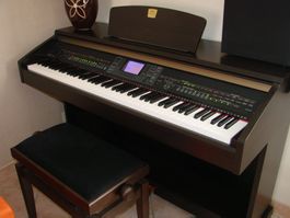 Yamaha CVP-501
