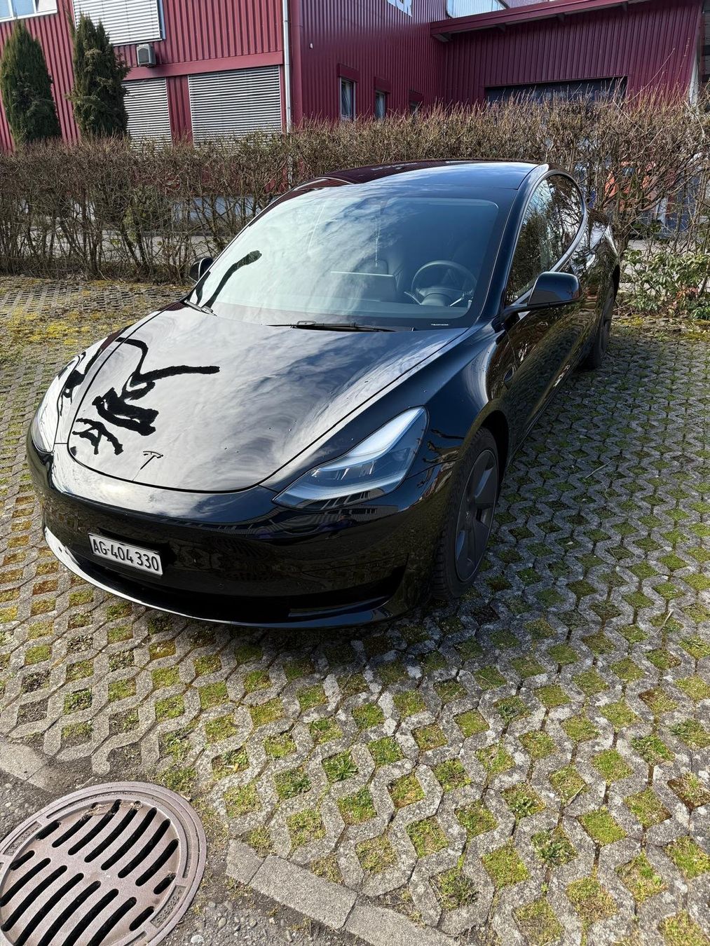 Tesla Automobili: Tesla Model 3 2021 Facelift – Usato da Dintikon venduto da bes_96 1