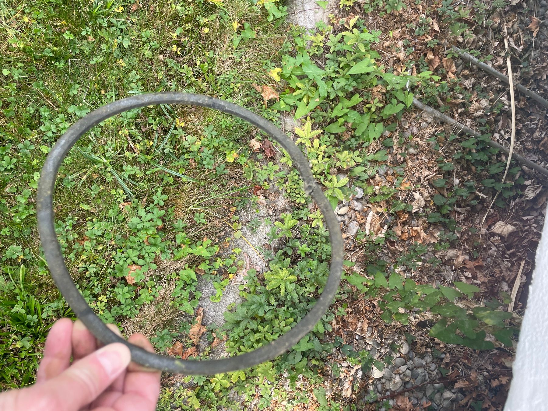 Tagliaerba: Benzin Rasenmäher mit Radantrieb – Usato da Wermatswil venduto da Merchant7 3