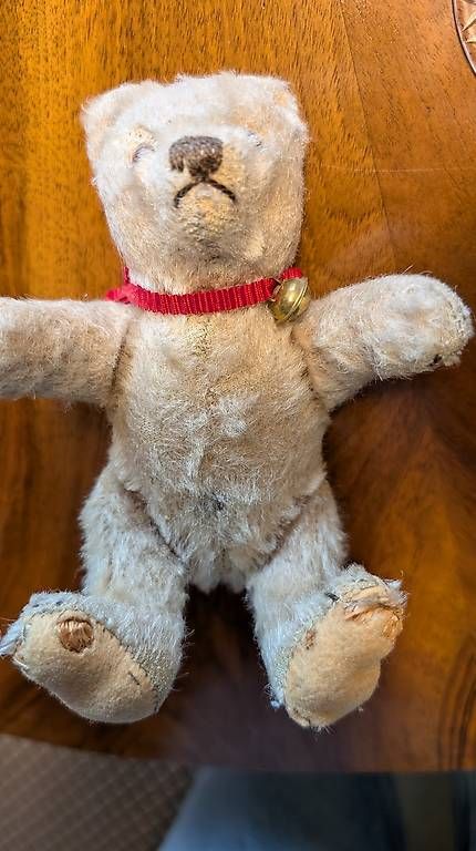 Giocattoli: Alter Teddy – Usato da Subingen venduto da Rusti79 3