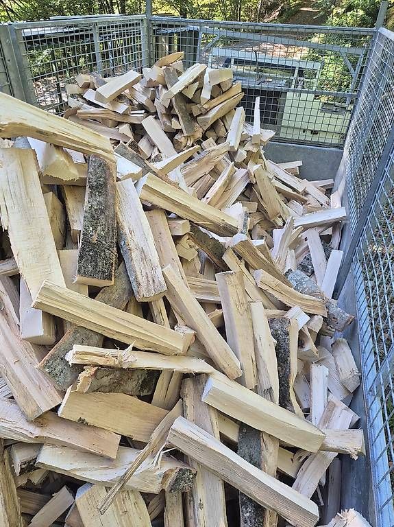 Articoli in legno: Brennholz Buche – Nuovo e nell'imballaggio originale da Sachseln venduto da Cat_m320f 1