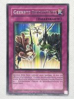 Yu-Gi-Oh! Karte - Geerbte Reichtümer - Selten - SOVR-DE067
