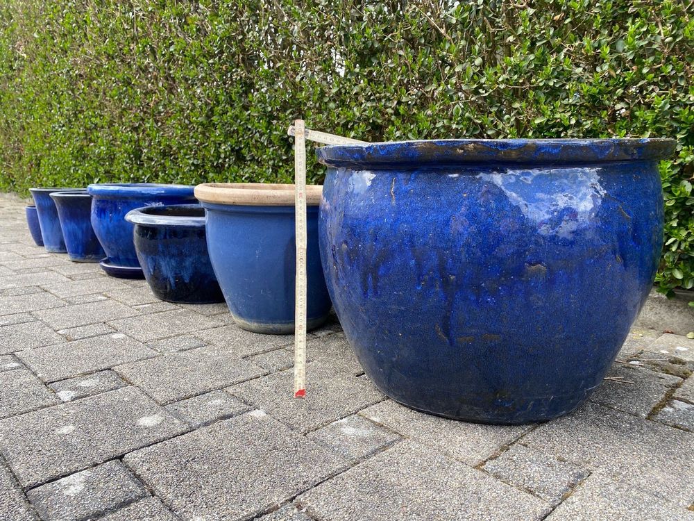Pflanzen Töpfe/Kübel blau Kaufen auf Ricardo