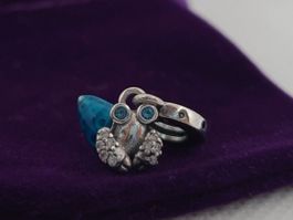 Charm Einsiedlerkrebs +Garantie