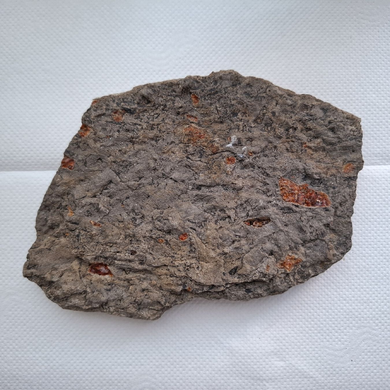 Minerali & Pietre curative: Schweizer Bernstein var. Plaffeiit Platte 14.5cm Selten – Nuovo (secondo la descrizione) da Pfäffikon ZH venduto da mrstone