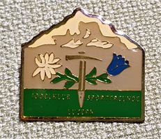 N543 - Pin Jodelklub Sportfreunde Luzern  Edelweiss Enzian