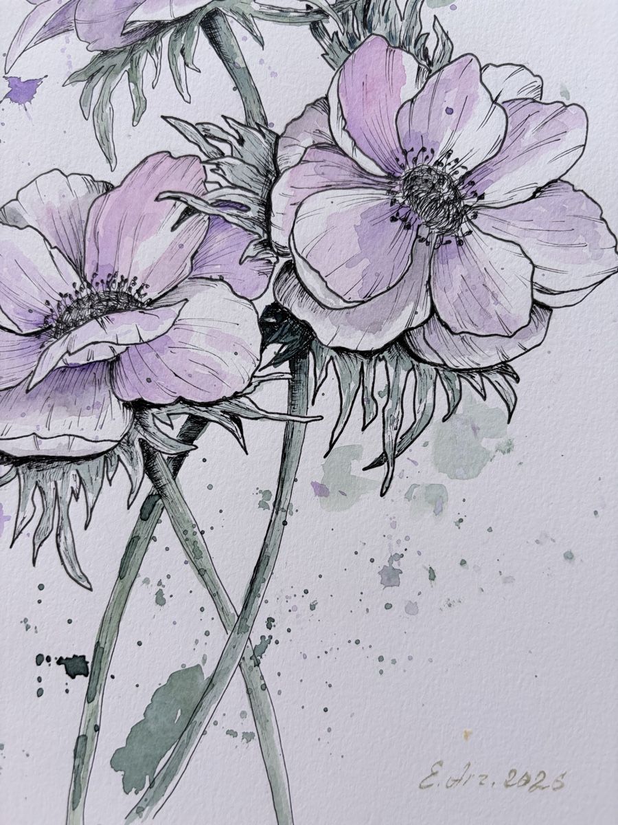 Gemälde: Gemälde Anemonen Aquarell 2026 – Neu (gemäss Beschreibung) aus Meggen von My_art_for_you 3