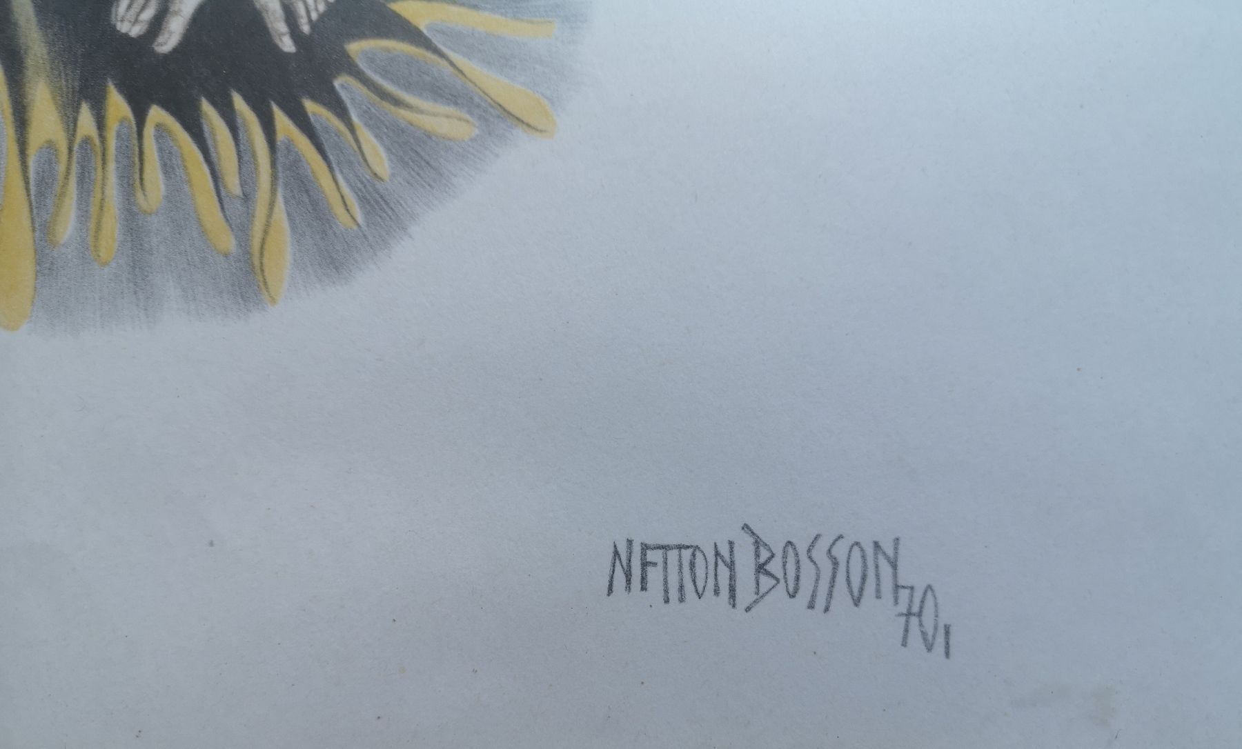 Grafica & Litografie: Netton Bosson lithographie – Usato da Conthey venduto da Cathlouz 1