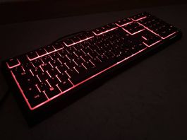 Razer Ornata V2 Gaming-Tastatur  voll funktionsfähig