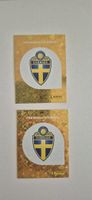 Panini SWE 1