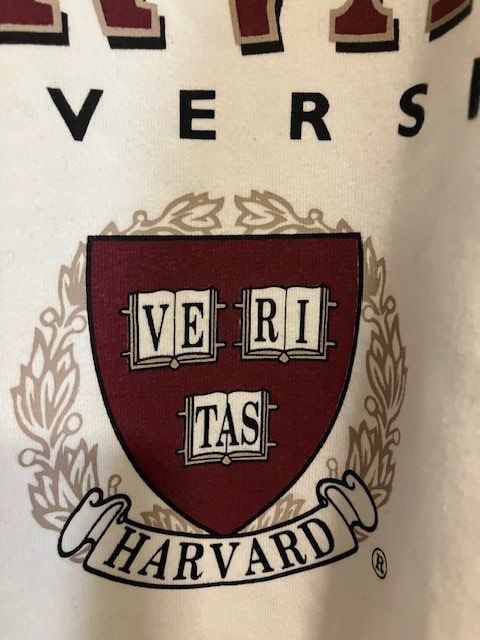 Stradivarius Maglioni & Felpe: sweatshirt HARVARD – Usato da Schwarzenberg LU venduto da kindler007 2