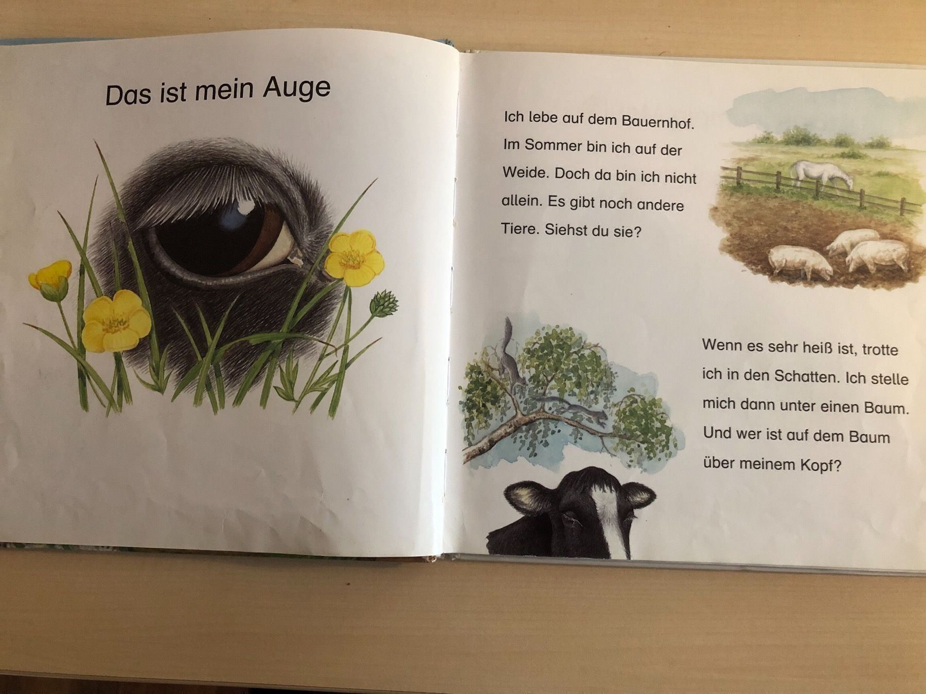 Libri: Wer bin ich? Kinderbuch über die Kuh – Usato da Aarau venduto da R-O-G-E-R 4