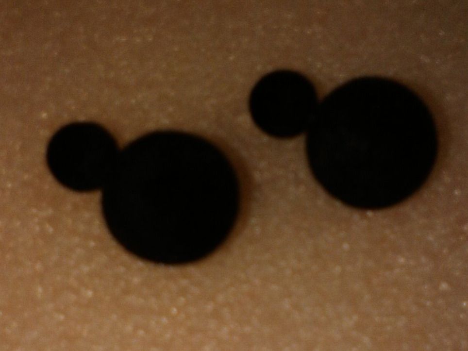Orecchini pendenti & Orecchini a lobo: OHRRINGE MODESCHMUCK,,,SCHWARZ,,,MATTE – Nuovo (secondo la descrizione) da Basel venduto da bijoutrie_4 1