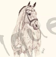 Serviette catoki (1466) 2Stk.
