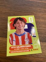 Panini Par 14