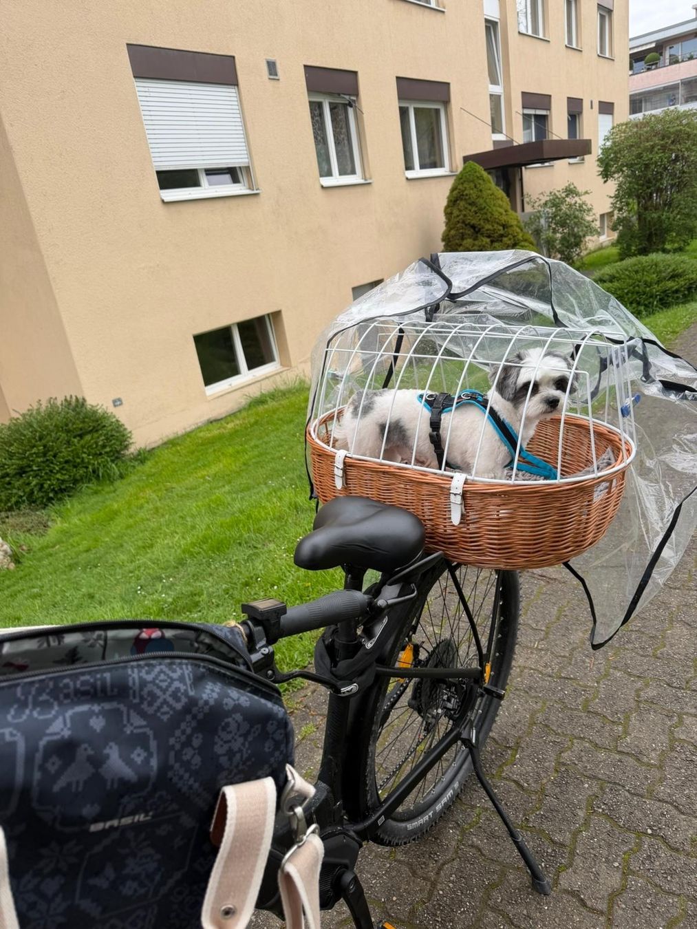 Cucce & Letti: Fahrradkorb Weide mit Gitter   – Usato da Orpund venduto da Benni0 3