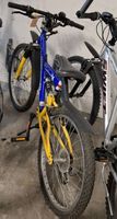 Gebrauchtes Velo
