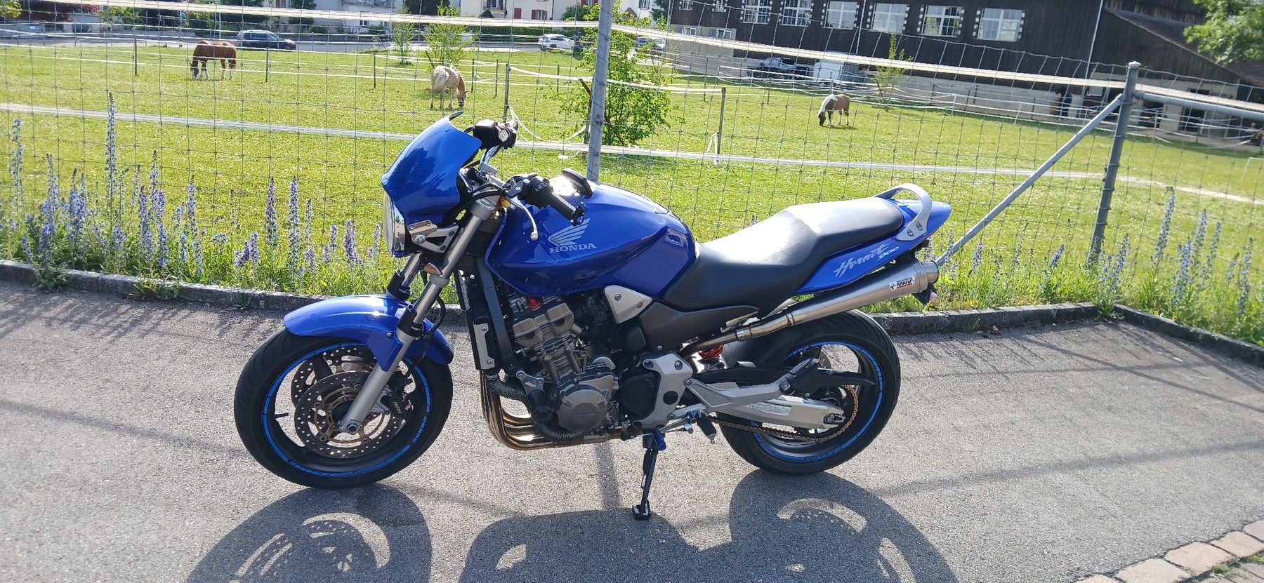 Honda Strada: Honda CB 900 Hornet – Usato da Grenchen venduto da Luca-g 2