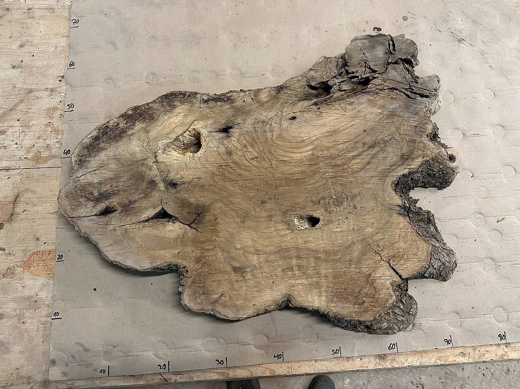 Articoli in legno: XL-76 Olivenholz Wurzelscheiben Baumscheiben – Usato da Buus venduto da macipioji 1
