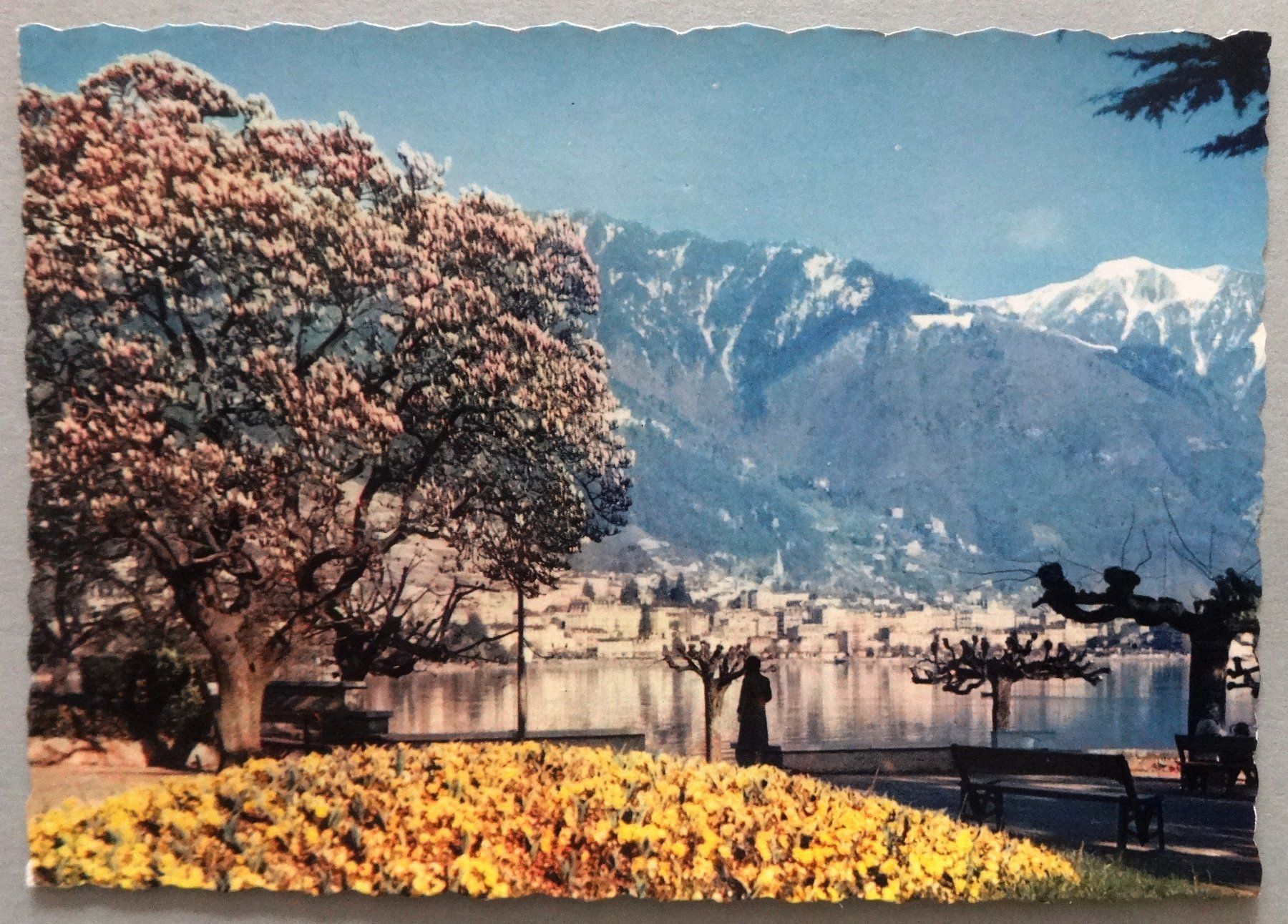 Cartoline postali: Clarens - Vue sur Montreux – Usato da Fétigny venduto da Billy2miny